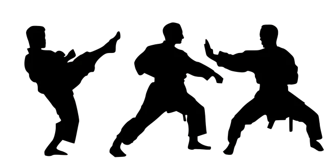 karate4002261_640.png