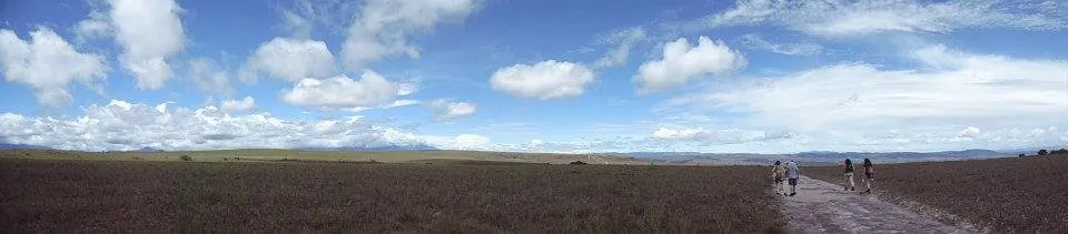 CAMINO HACIA PACHECO.jpg