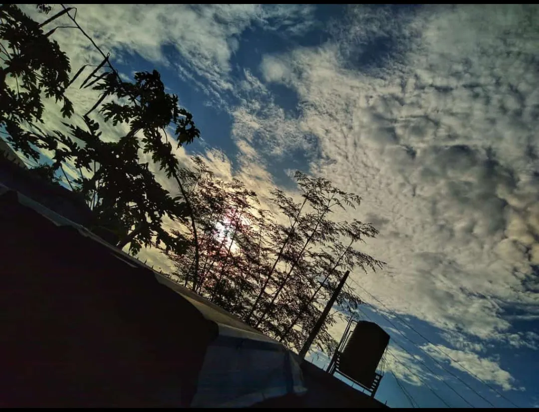 PicsArt_050505.21.18.jpg