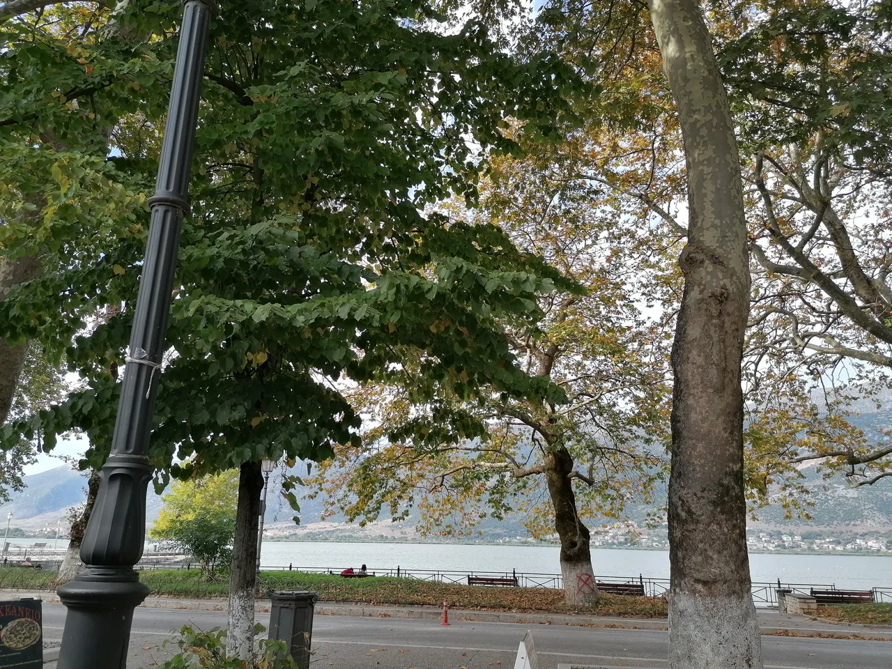 IMG_20200902_175828.jpg