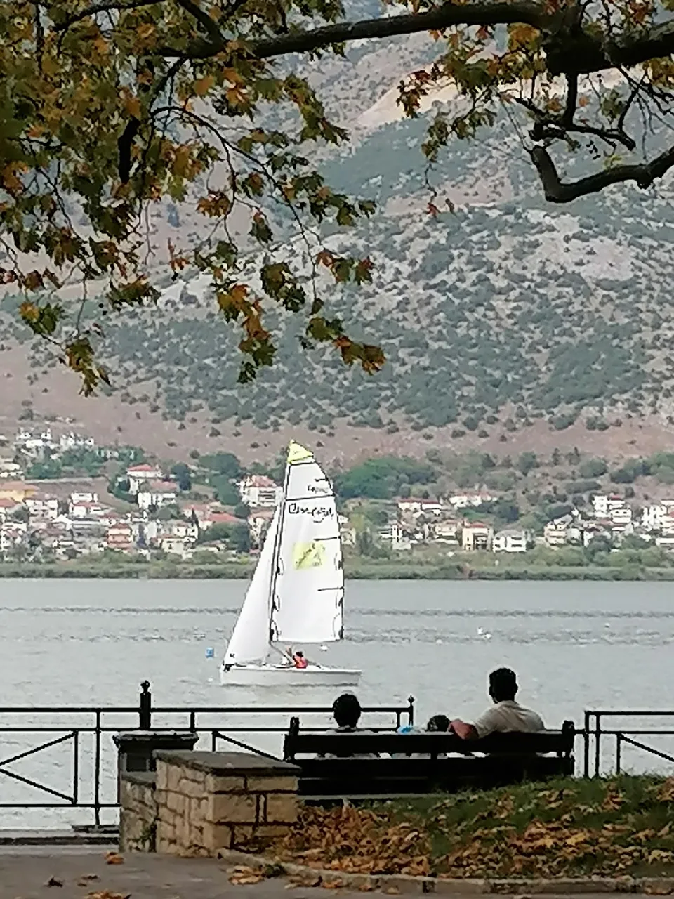 IMG_20200902_185839.jpg