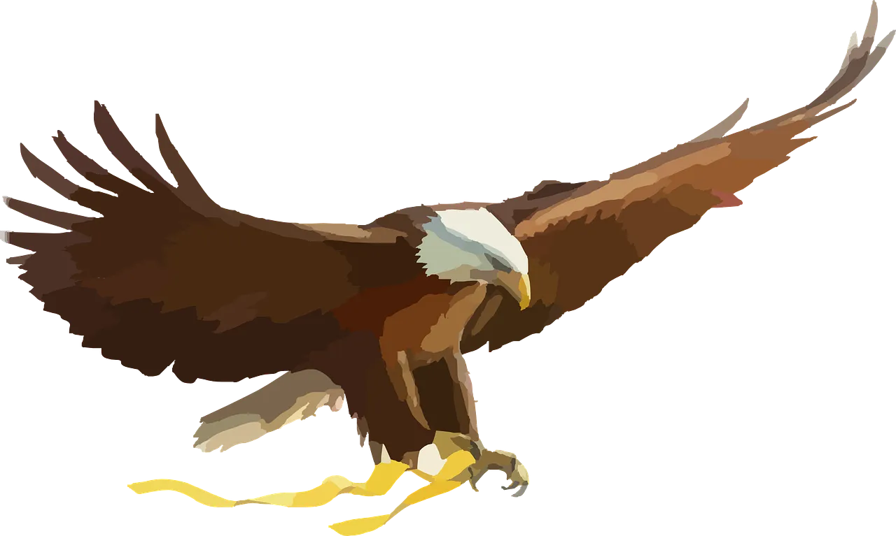 baldeagle297517_1280.png