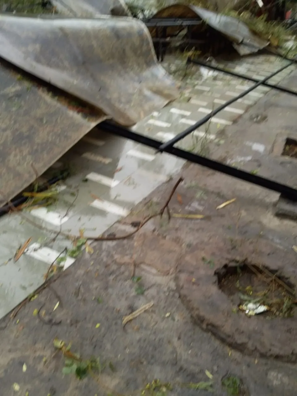 IMG20200610WA0009.jpg