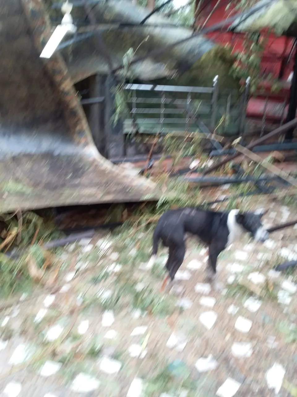 IMG20200610WA0010.jpg