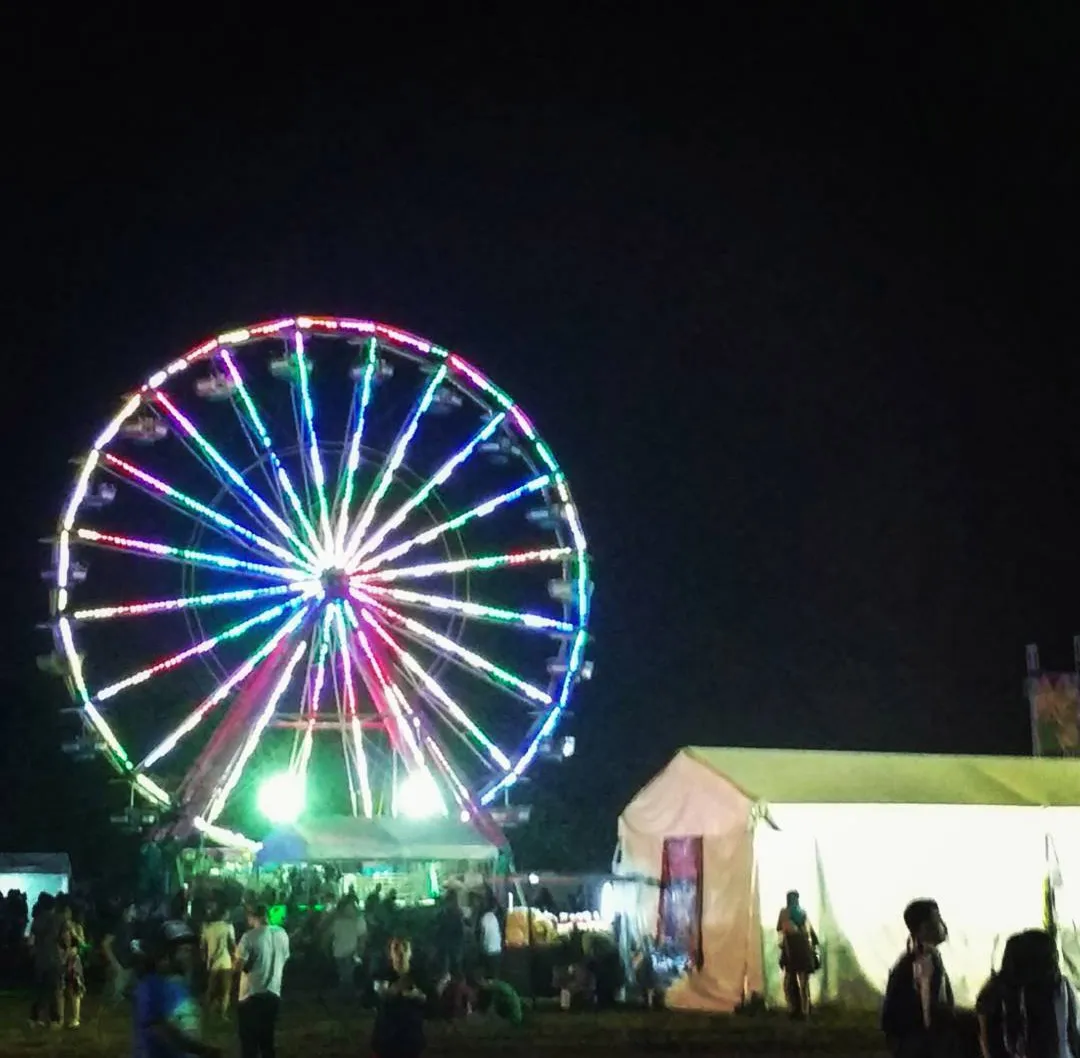 PSX_20200821_082119.jpg