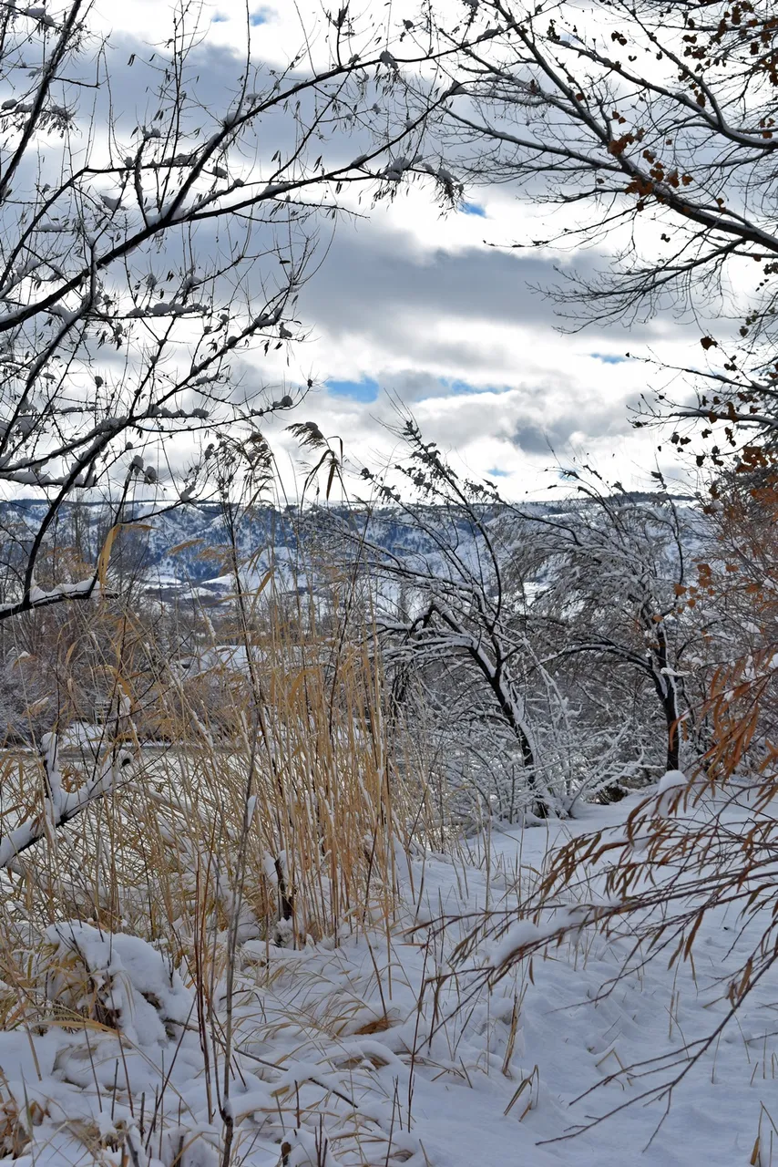DSC_3450_1600.JPG
