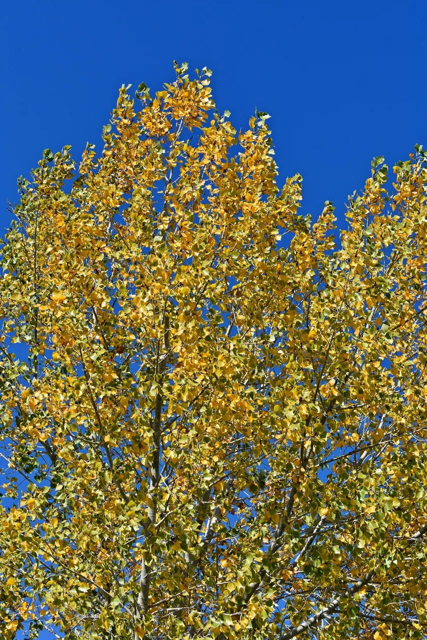 DSC_3304_1600.JPG