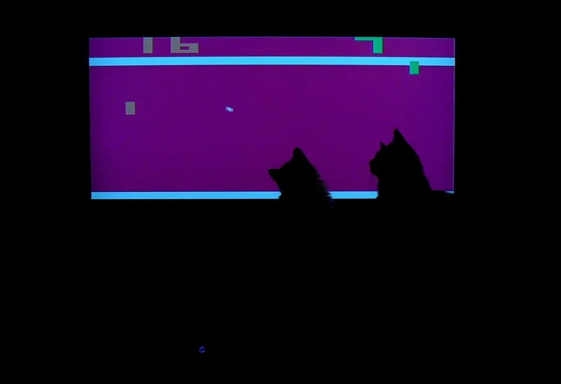 pingkissatpong.jpg