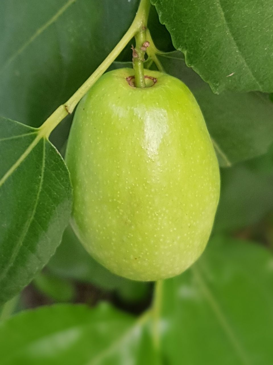 20190901_190726.jpg
