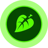 img_element_earth.png