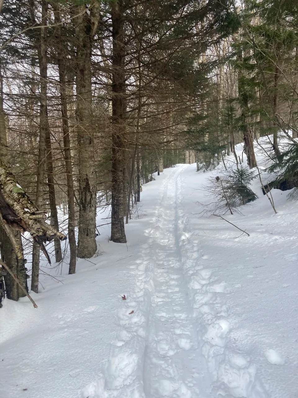 Long trail