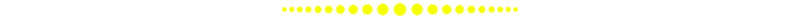rs006.gif