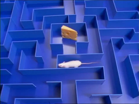 Maze4.jpg