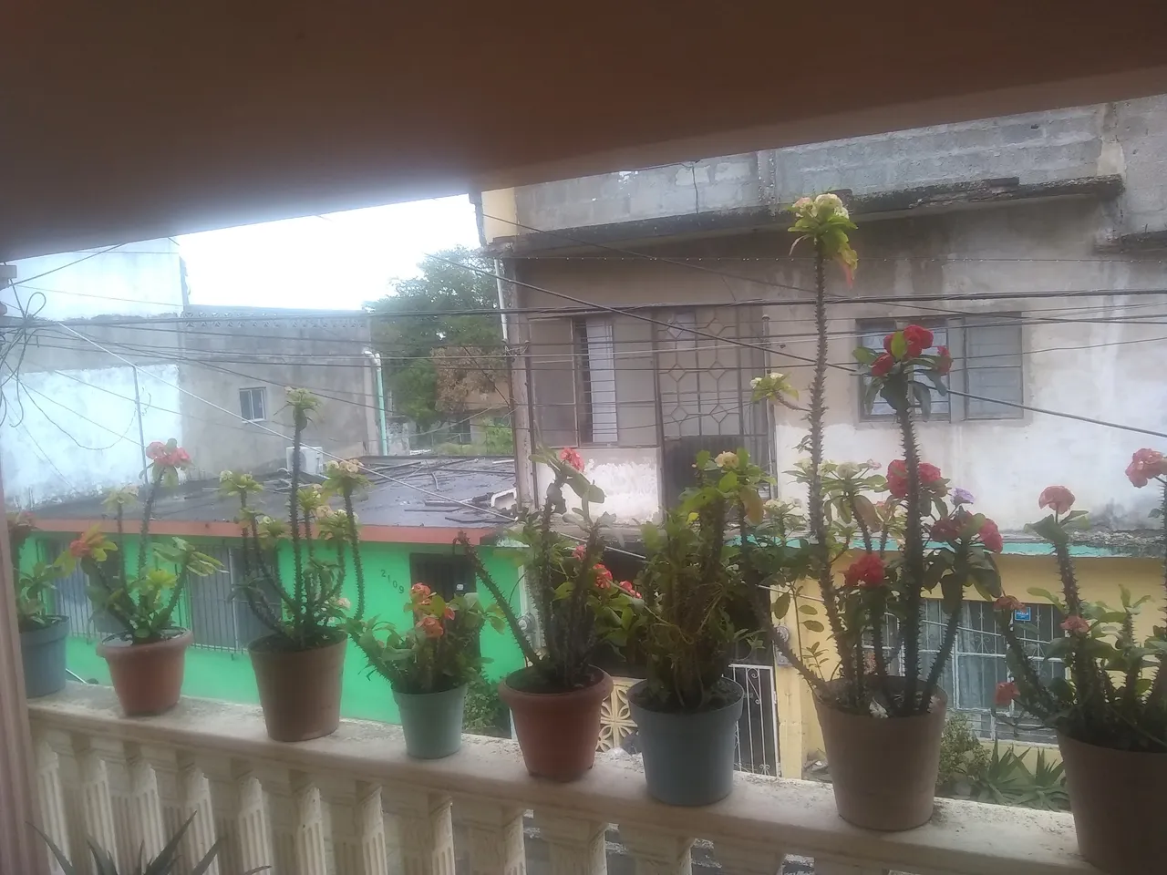 foto2.jpg