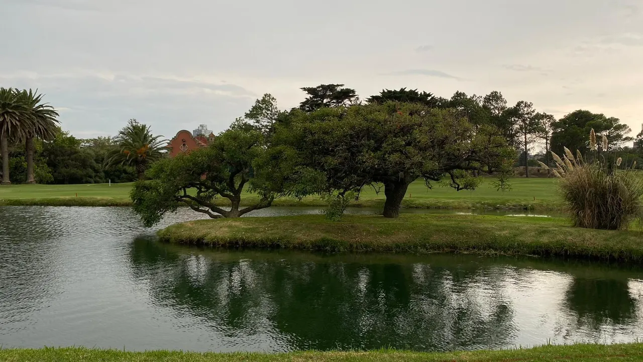 lago.jpeg