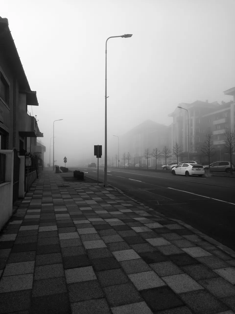 Fog15.jpg