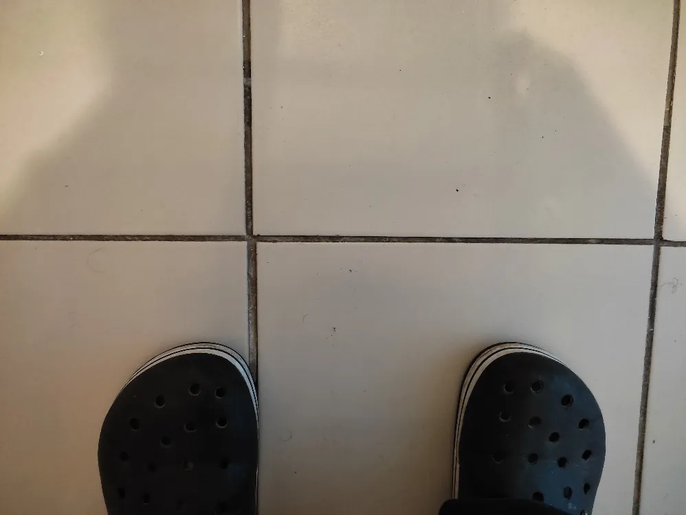 Pies1.png