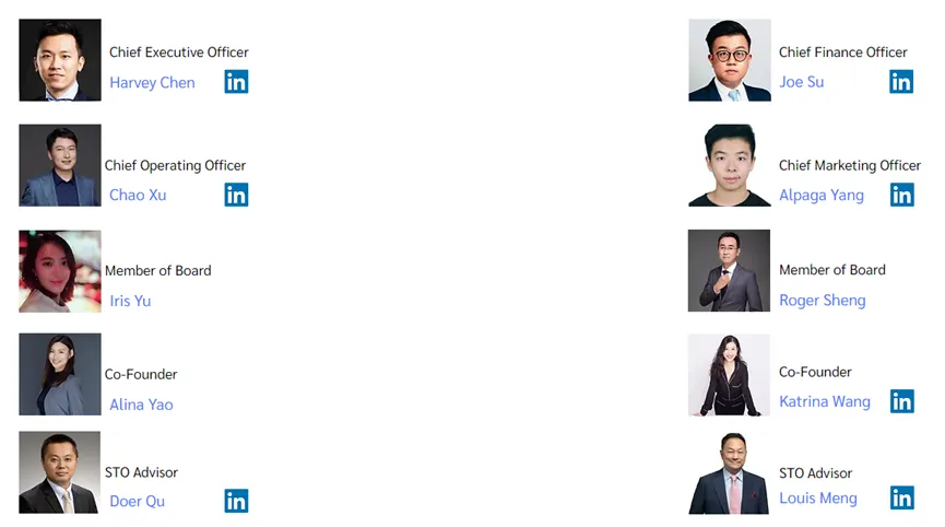 hash asset group