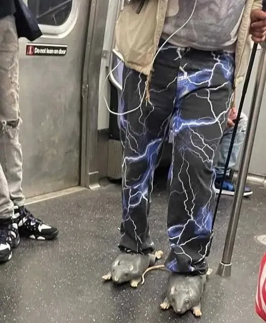 Lightning like designed jeans combined with rat shoes