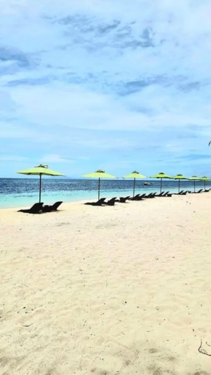" "beach.jpg""
