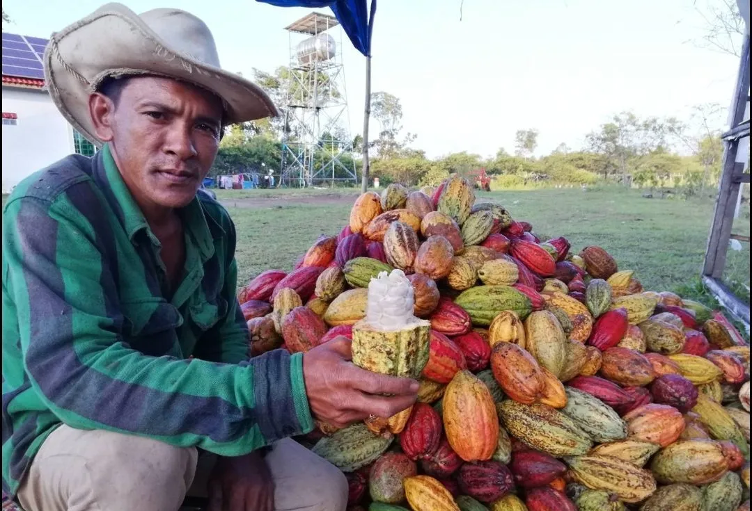 cacao.jpg
