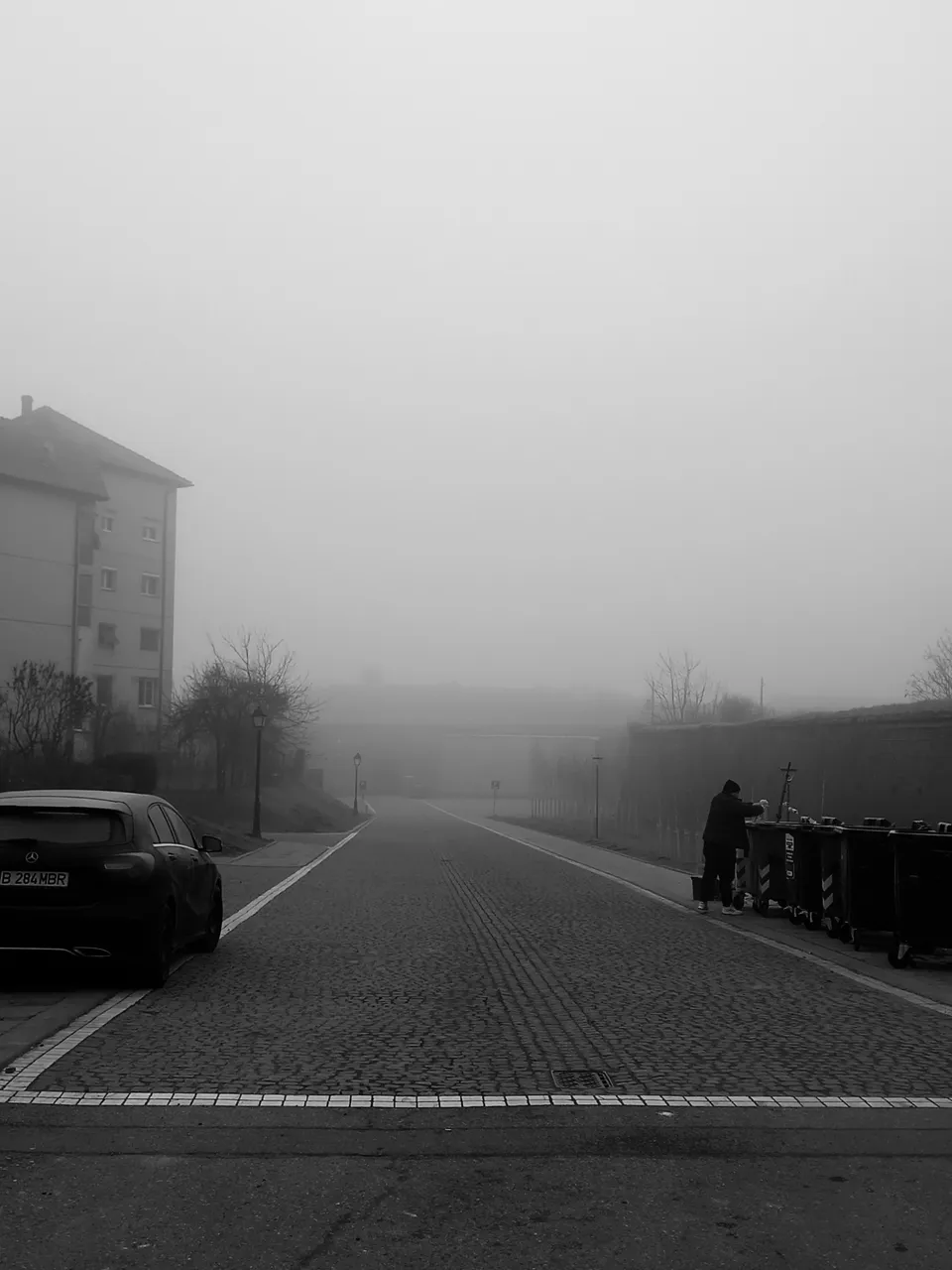 Fog21.jpg
