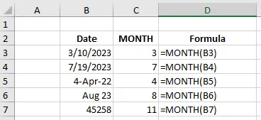 MONTH function examples