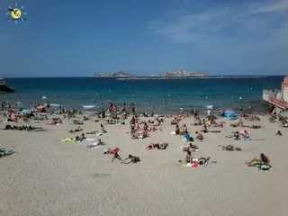 marse.jpg