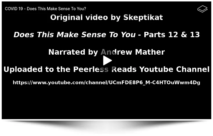 Skeptikat Video