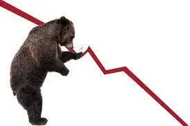 bear.jfif