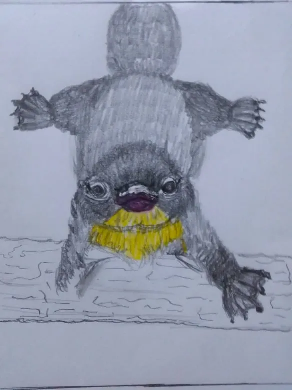 orni3.jpg