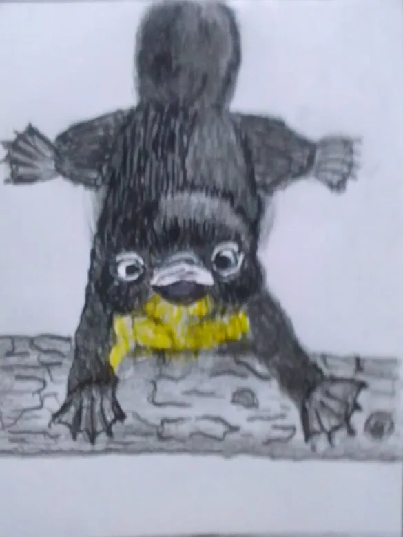 orni6.jpg