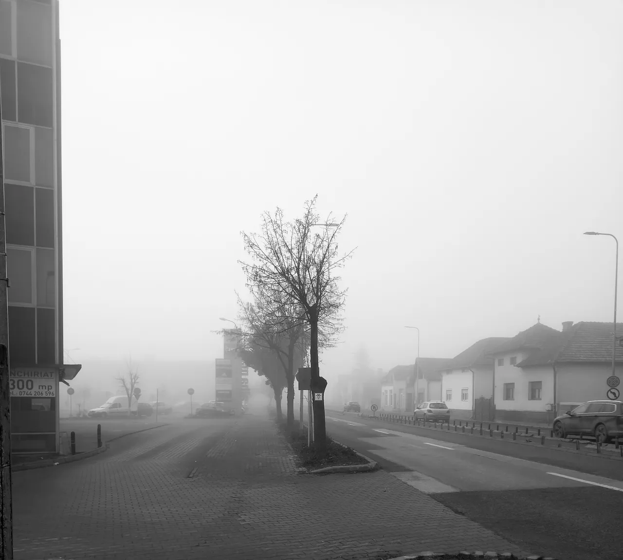Fog35.jpg