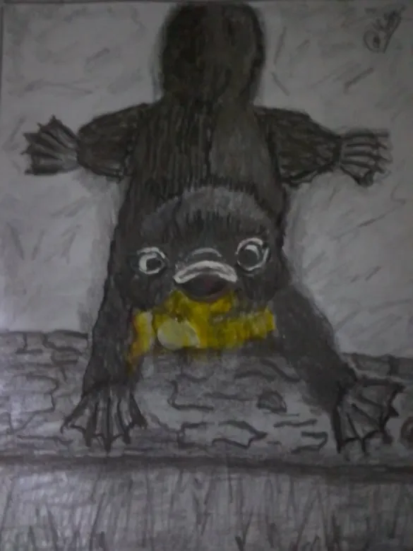 orni7.jpg