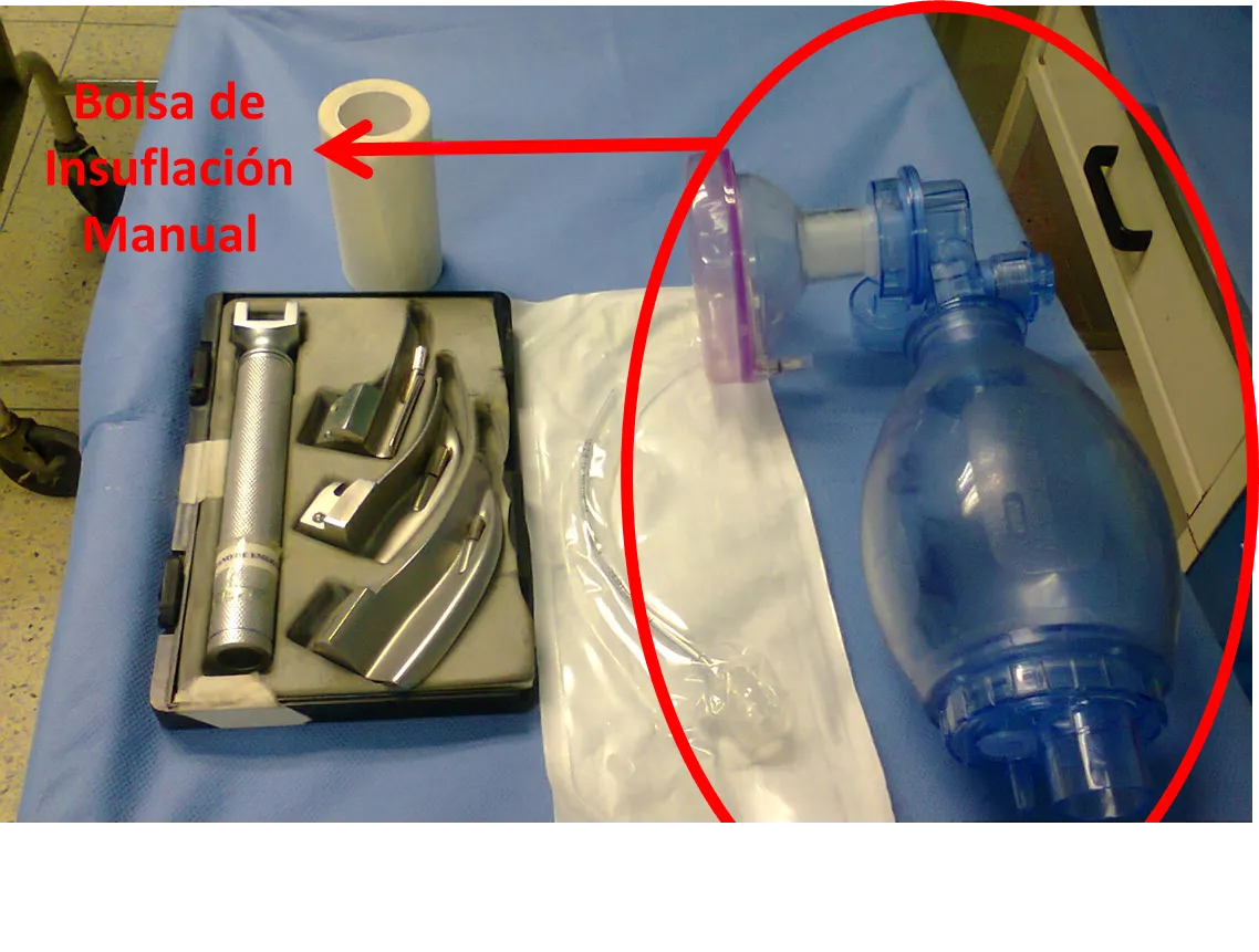 Bolsa.png