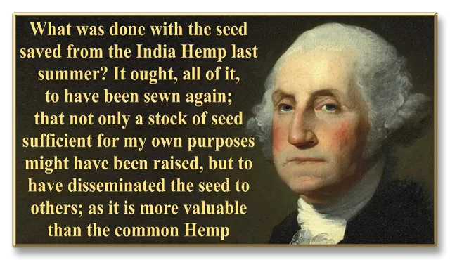 George-Washington-seeds.png