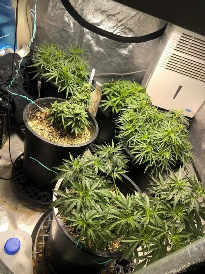 Grow Image-2020614.jpg