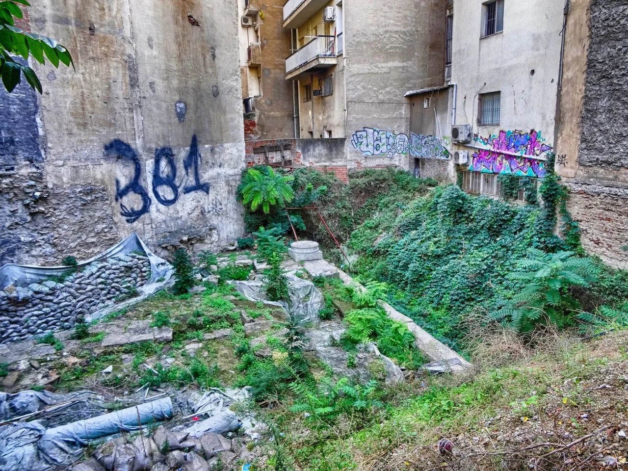 The backyard of a ruin
