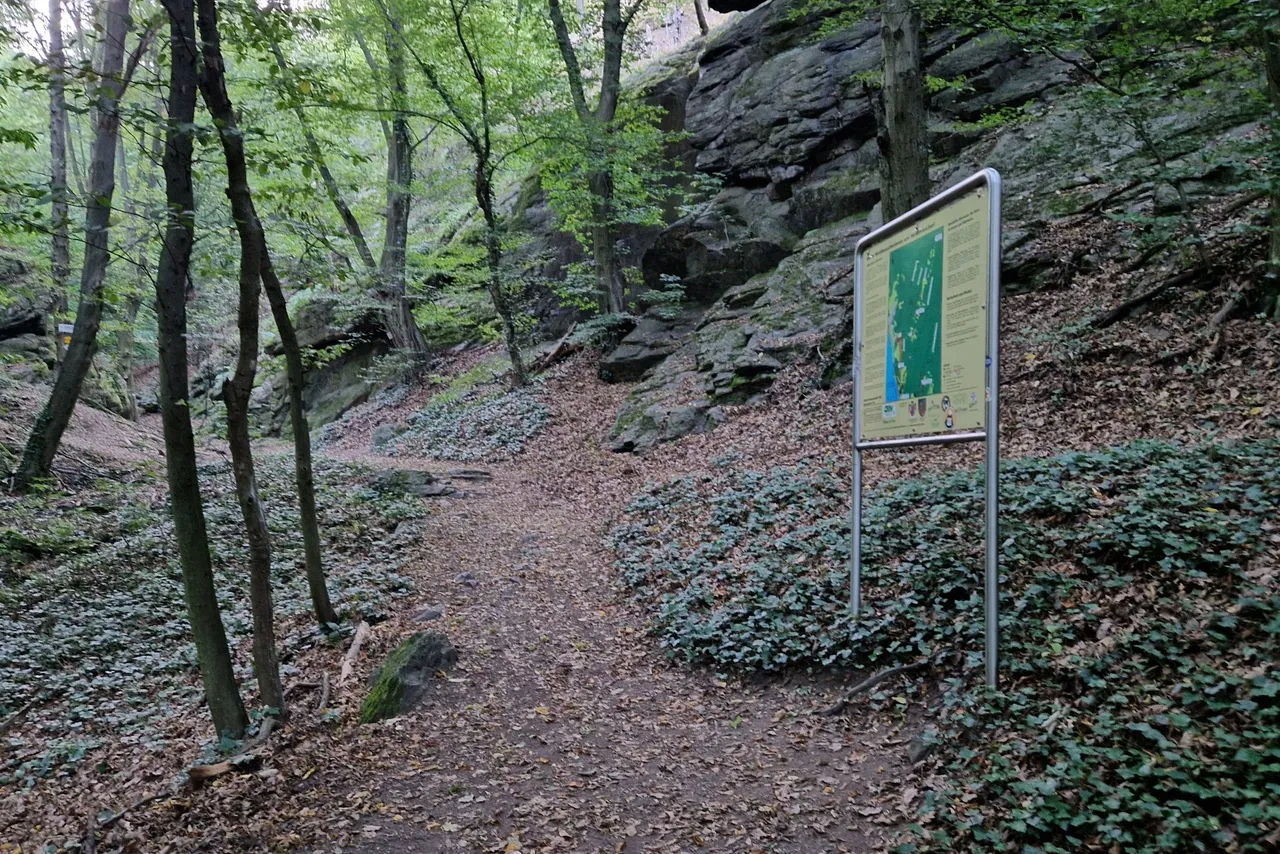 Quite soon the Vogelbergsteig, a steep pathway up the mountain starts.