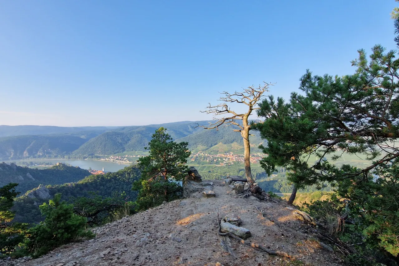 Then it’s only something like a quarter of an hour to get to the ”Kanzel”. ”Kanzel” is the German word for ”pulpit”, but this ”Kanzel” is not in a church but a rock ledge from that you have an astonishing view down to wachau valley.
