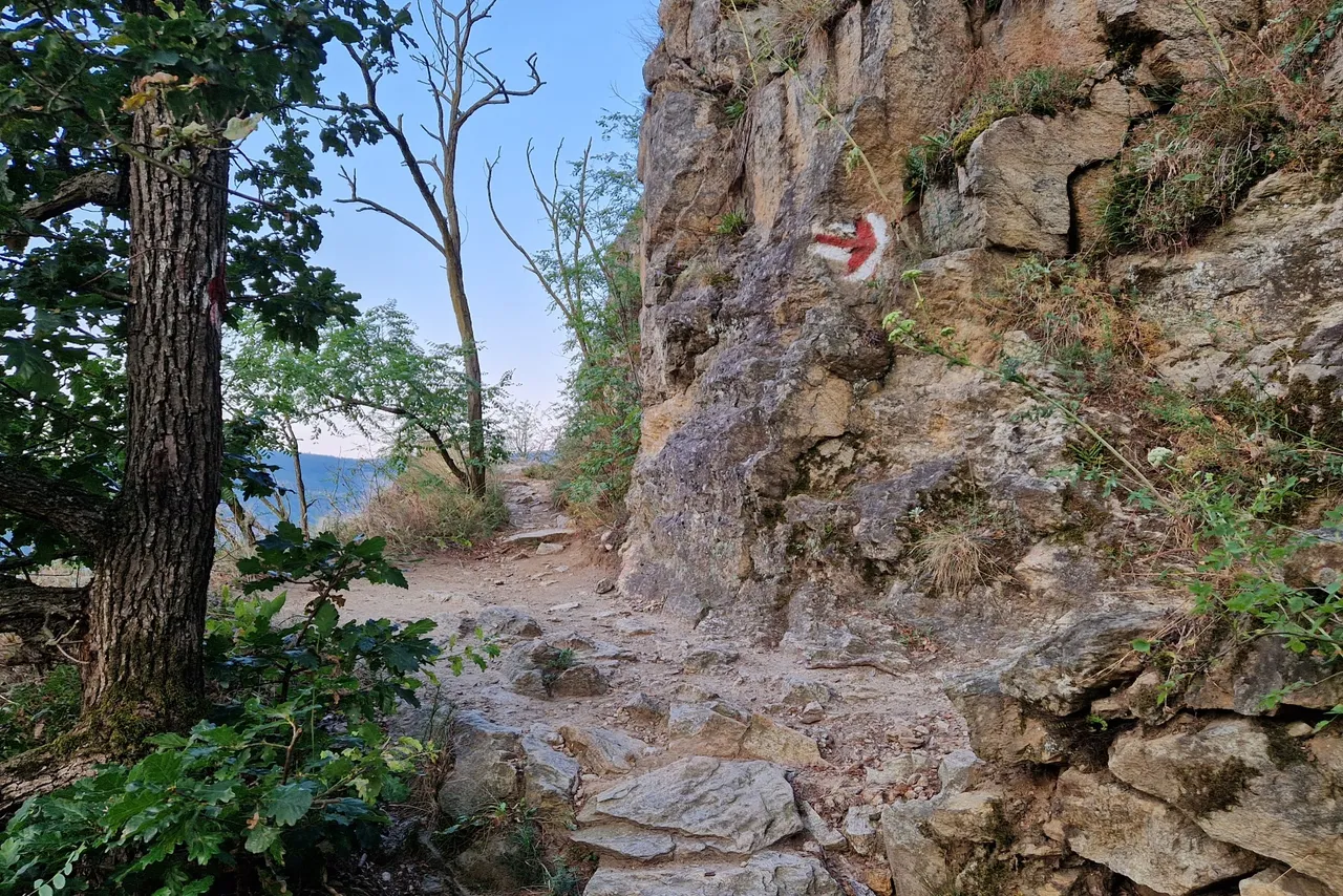 After some hundred meters through the woodland, the path becomes rocky.