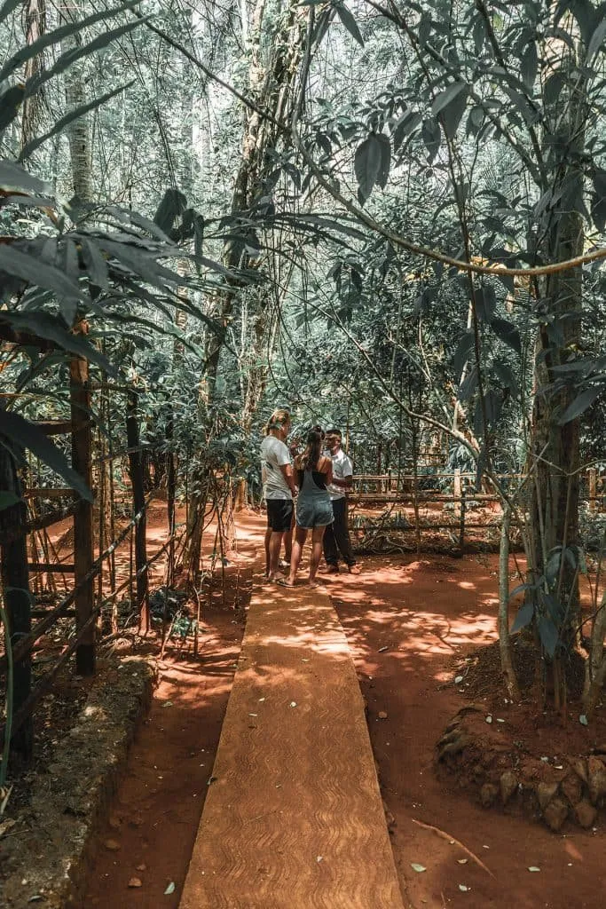 Kandy spice garden visit