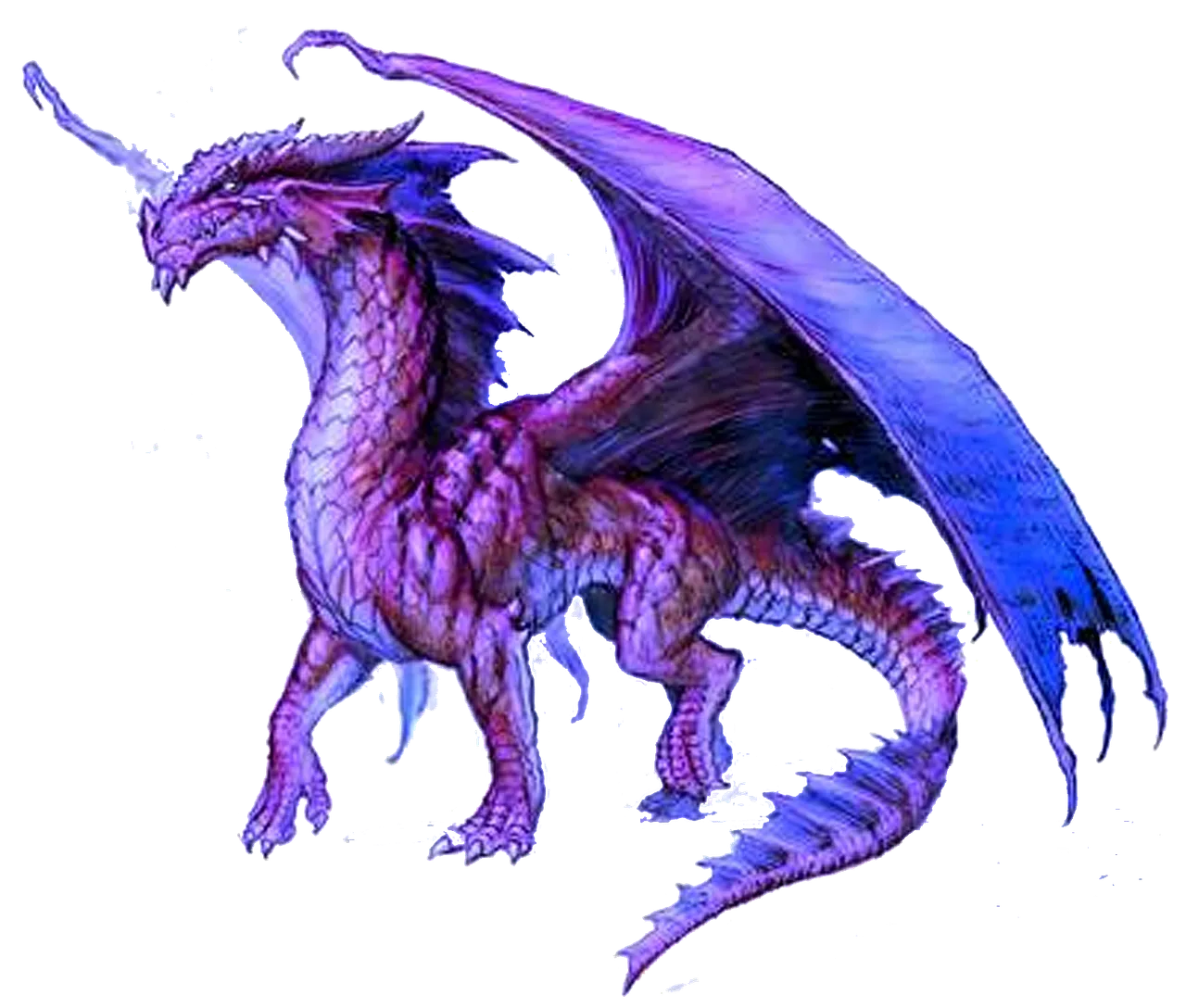 Purple-dragon.png