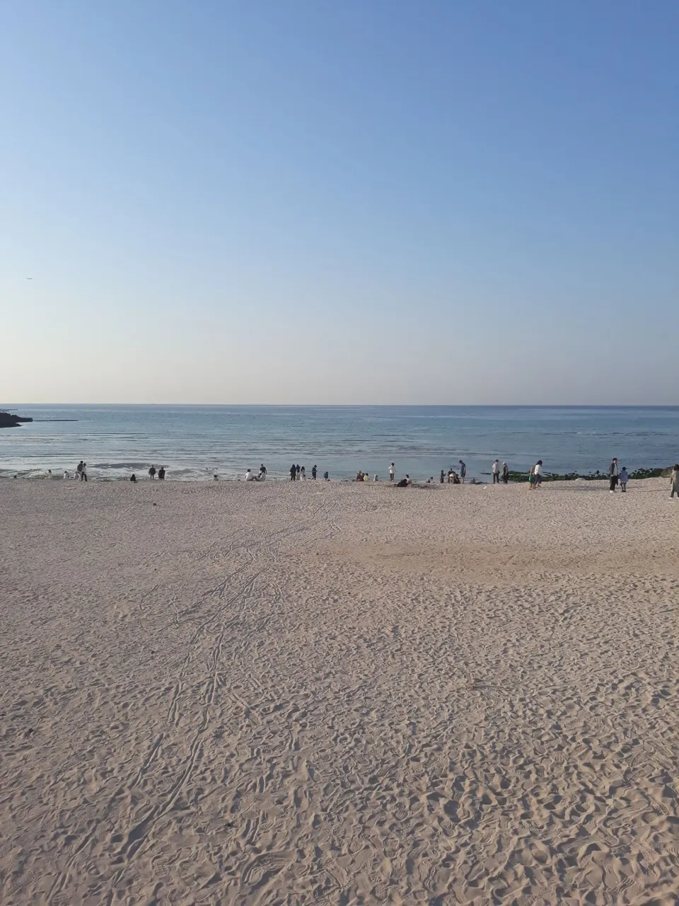 2019-05-10 18.12.28.jpg