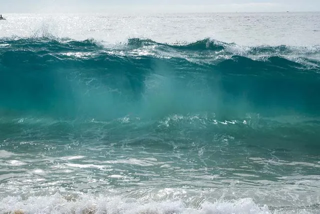 wave.jpg