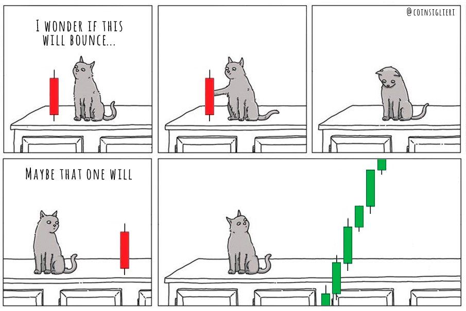 sdas.jpg