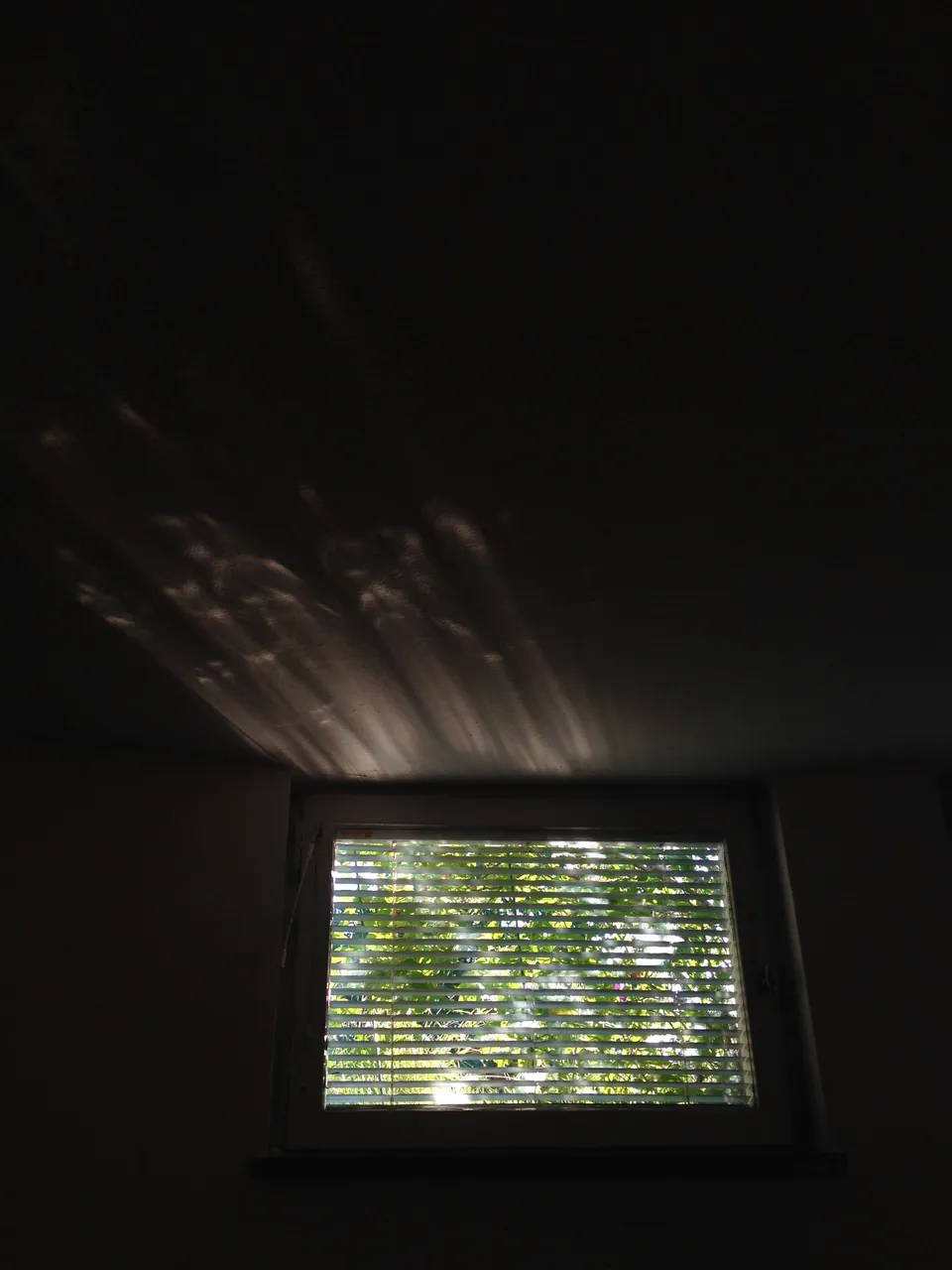 2730.JPG