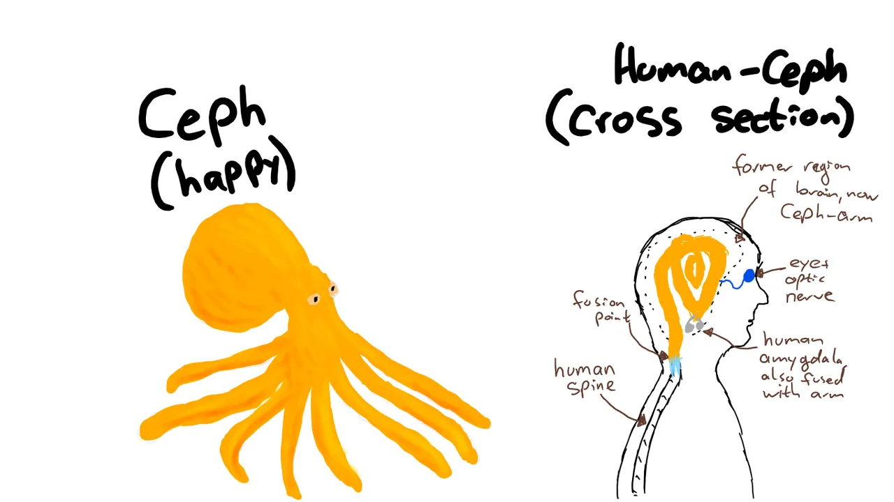 ceph.png