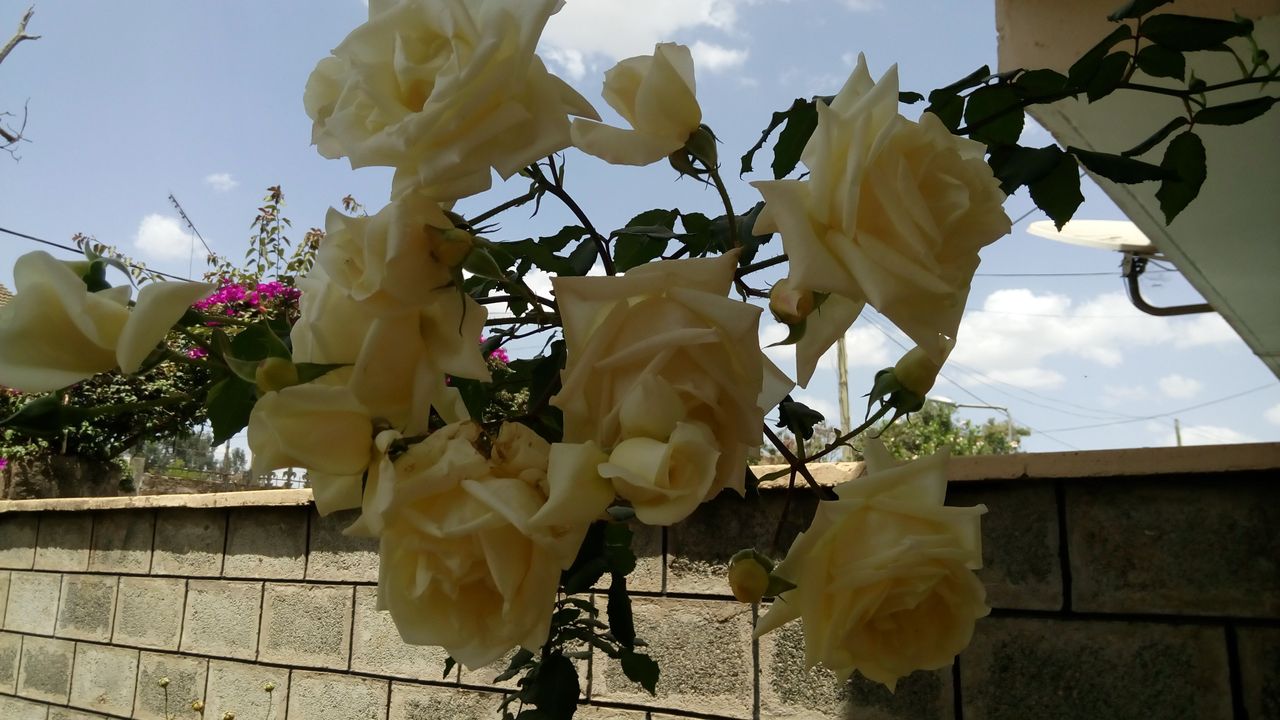 pic6.jpg