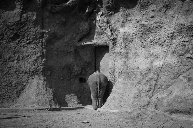 zoo3.jpg